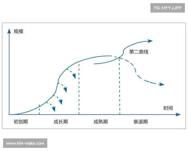 大连英博失利的深层原因分析及其对企业未来发展的影响